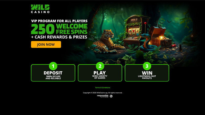 Wild Casino desktop screenshot 1