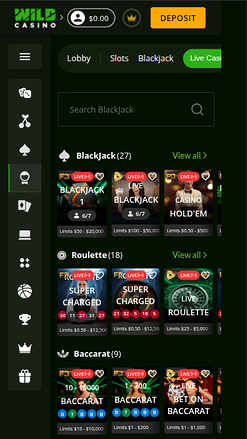 Wild Casino mobile screenshot 2