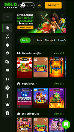 Wild Casino mobile screenshot 4