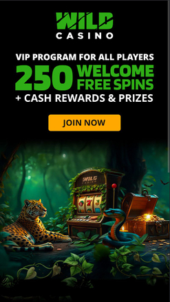 Wild Casino mobile screenshot 7