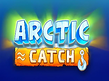 Arctic Catch