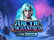 Arctic Enchantress