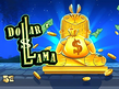 Dollar Llama