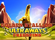 Golden Stallion