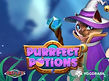 Purrfect Potions