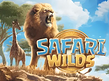 Safari Wilds