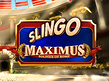 Slingo Maximus Soldier of Rome