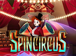 Spincircus