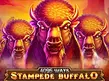 Stampede Buffalo 4096 Ways