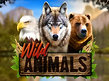 Wild Animals