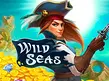 Wild Seas