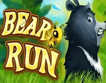 Bear Run
