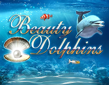 Beauty Dolphins