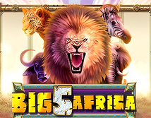 Big 5 Africa