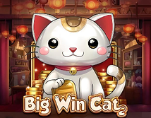 Big Win Cat