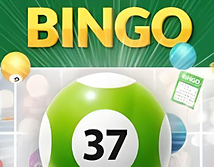 Bingo 37 Ticket