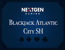 BlackjackPro Atlantic City SingleHand