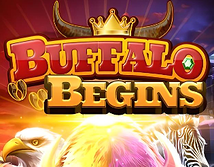 Buffalo Begins
