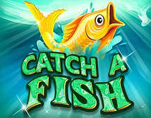 Catch a Fish