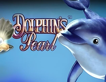 Dolphins Pearl