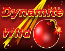 Dynamite Wild