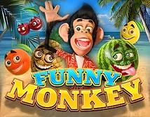 Funny Monkey