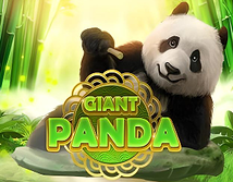 Giant Panda