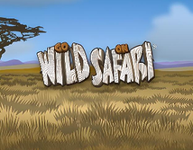 Go Wild On Safari