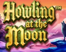Howling at the Moon
