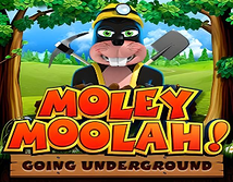 Moley Moolah