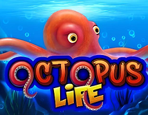 Octopus Life