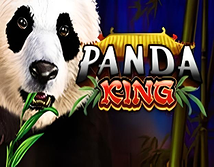 Panda King