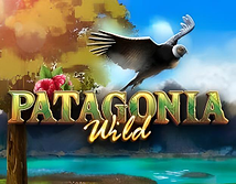 Patagonia Wild