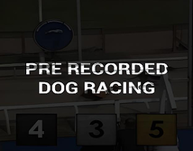 Pre Recorded Dog Racing