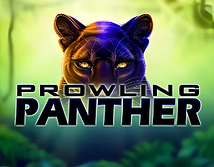 Prowling Panther
