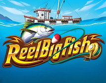 Reel Big Fish
