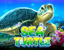 Sea Turtle