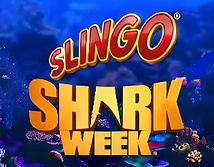 Slingo Shark Week