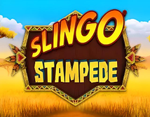 Slingo Stampede
