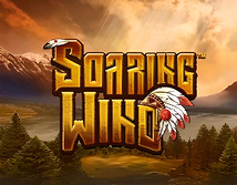 Soaring Wind