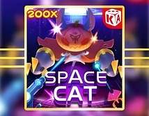Space Cat