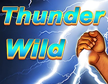 Thunder Wild