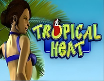 Tropical Heat