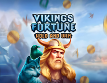 Vikings Fortune