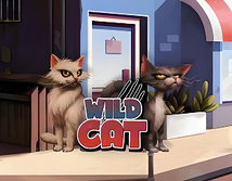 Wild Cat