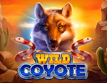 Wild Coyote