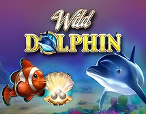 Wild Dolphins