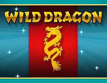 Wild Dragon Golden Hero
