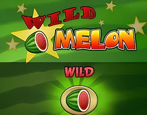 Wild Melon
