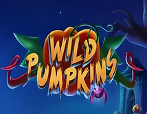 Wild Pumpkins